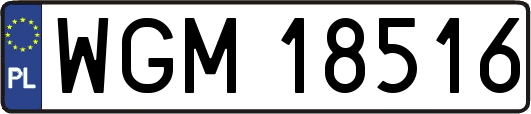 WGM18516