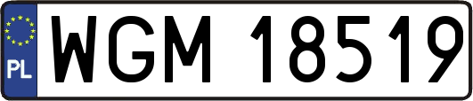 WGM18519