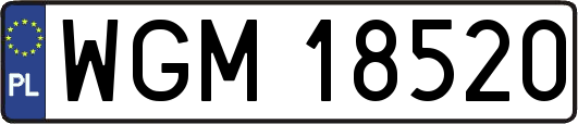 WGM18520