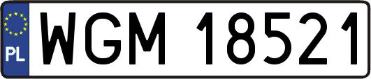 WGM18521