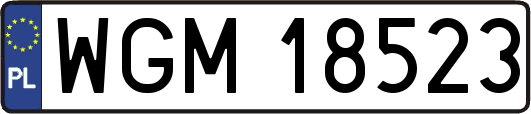 WGM18523