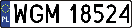 WGM18524