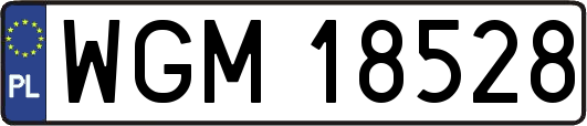 WGM18528