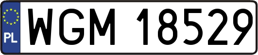 WGM18529