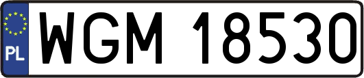 WGM18530