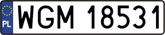 WGM18531