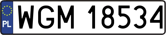 WGM18534
