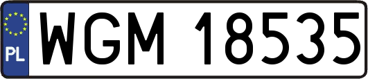 WGM18535