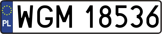 WGM18536