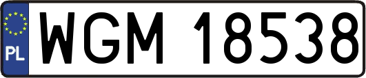 WGM18538