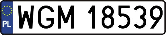 WGM18539