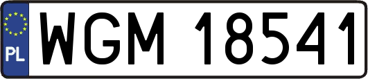 WGM18541
