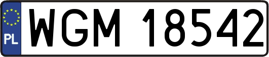 WGM18542