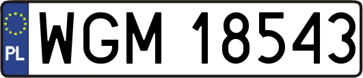 WGM18543