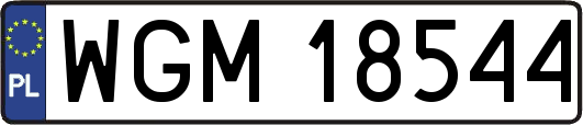 WGM18544
