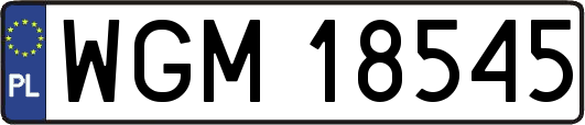 WGM18545