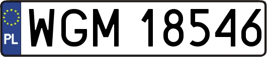 WGM18546