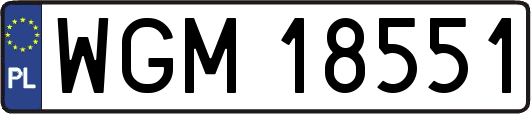WGM18551