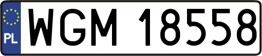 WGM18558