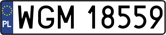 WGM18559