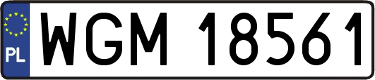 WGM18561