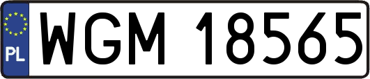WGM18565