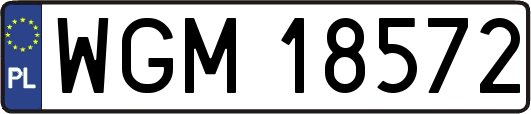 WGM18572