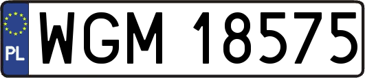 WGM18575