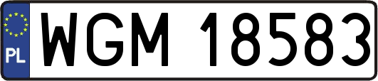 WGM18583
