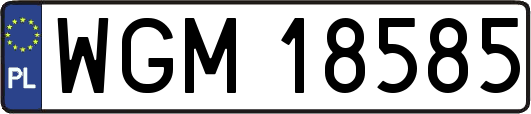 WGM18585