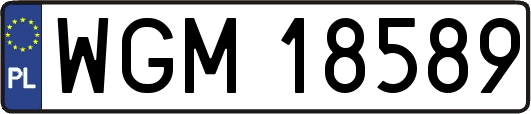 WGM18589