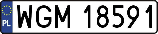 WGM18591