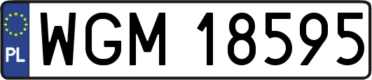 WGM18595