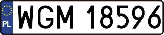 WGM18596