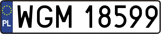 WGM18599