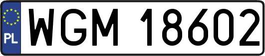 WGM18602
