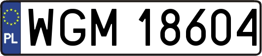 WGM18604