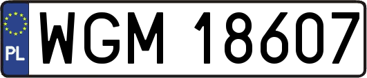 WGM18607
