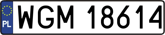 WGM18614