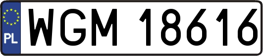 WGM18616