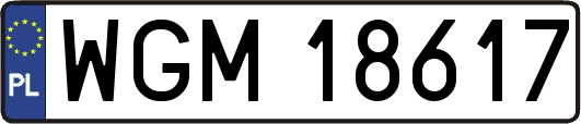 WGM18617