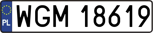 WGM18619