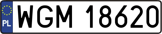 WGM18620
