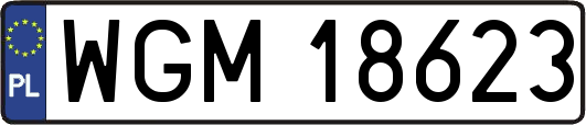 WGM18623