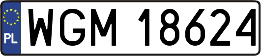 WGM18624