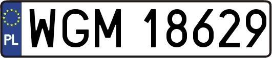 WGM18629