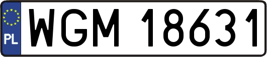WGM18631
