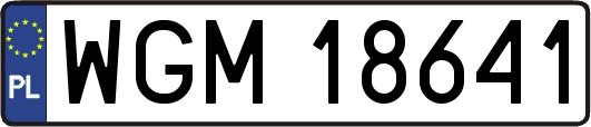 WGM18641
