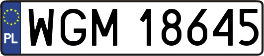 WGM18645