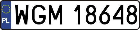 WGM18648